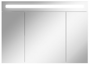 Шкаф-зеркало Аврора 100 с подсветкой LED Домино (DV8012HZ) в Можге - mozhga.ok-mebel.com | фото