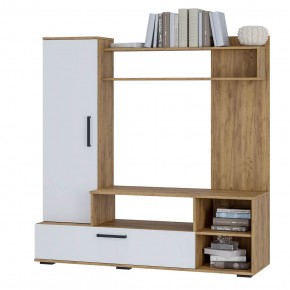 Гостиная Евро 2 (крафт/белый) в Можге - mozhga.ok-mebel.com | фото 3