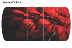 Стол Бостон-3 (1100/1420*700) опоры Брифинг в Можге - mozhga.ok-mebel.com | фото 5