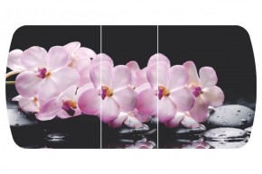Стол Бостон-3 (Розовая Орхидея) 1100/1420*700, опора Брифинг в Можге - mozhga.ok-mebel.com | фото 2