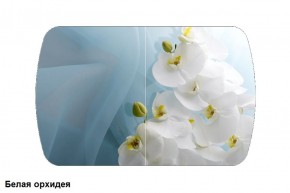 Стол Бостон 900*600 (опоры Брифинг) Стекло/фотопечать Белая Орхидея в Можге - mozhga.ok-mebel.com | фото