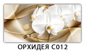 Стол раздвижной Трилогия с фотопечатью Орхидея C012 в Можге - mozhga.ok-mebel.com | фото 13