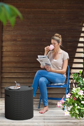 Столик-холодильник Кул-Стул (Cool stool) графит в Можге - mozhga.ok-mebel.com | фото