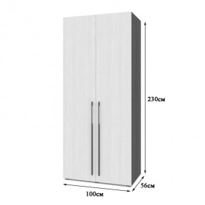 СТОУН С22 Шкаф 2-х створчатый (золотой дуб/графит) в Можге - mozhga.ok-mebel.com | фото 2
