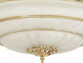 Светильник на штанге Arti Lampadari Pavia Pavia E 1.13.P40 G в Можге - mozhga.ok-mebel.com | фото 3