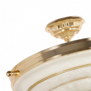 Светильник на штанге Arti Lampadari Pavia Pavia E 1.13.P40 G в Можге - mozhga.ok-mebel.com | фото 4
