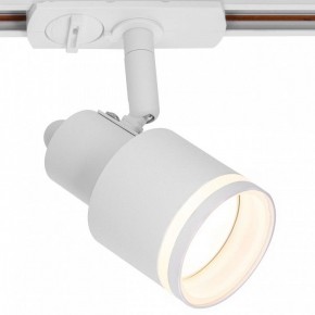Светильник на штанге Citilux Bruno CL565T10 в Можге - mozhga.ok-mebel.com | фото 2
