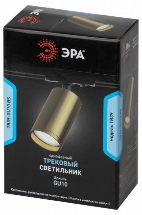 Светильник на штанге Эра  TR39-GU10 BS в Можге - mozhga.ok-mebel.com | фото 4