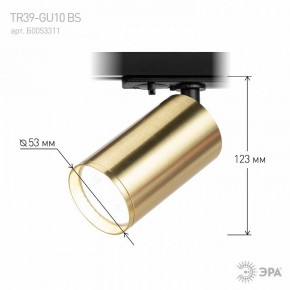Светильник на штанге Эра  TR39-GU10 BS в Можге - mozhga.ok-mebel.com | фото 6