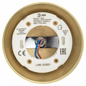 Светильник на штанге Эра  TR42-GX53 BS в Можге - mozhga.ok-mebel.com | фото 5