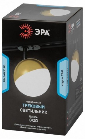 Светильник на штанге Эра  TR42-GX53 BS в Можге - mozhga.ok-mebel.com | фото 6