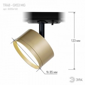 Светильник на штанге Эра  TR48 - GX53 MG в Можге - mozhga.ok-mebel.com | фото 4