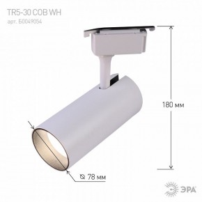 Светильник на штанге Эра  TR5-30 COB WH в Можге - mozhga.ok-mebel.com | фото 6