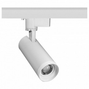 Светильник на штанге Эра  TR59 - 2030 WH в Можге - mozhga.ok-mebel.com | фото