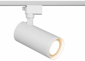 Светильник на штанге Эра  TR59 - 3030 WH в Можге - mozhga.ok-mebel.com | фото