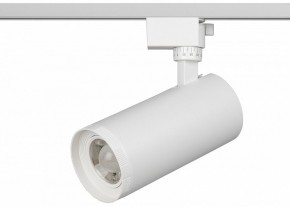 Светильник на штанге Эра  TR59 - 3030 WH в Можге - mozhga.ok-mebel.com | фото 2
