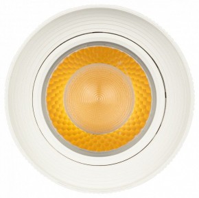 Светильник на штанге Эра  TR59 - 3030 WH в Можге - mozhga.ok-mebel.com | фото 3