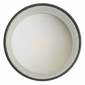 Светильник на штанге Feron ML1001 51371 в Можге - mozhga.ok-mebel.com | фото 4