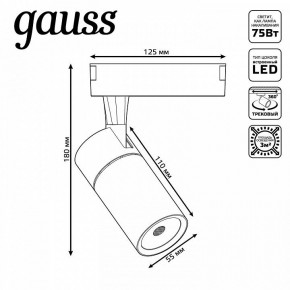 Светильник на штанге Gauss Track Light TR060 в Можге - mozhga.ok-mebel.com | фото 5