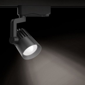 Светильник на штанге Gauss Track Light TR061 в Можге - mozhga.ok-mebel.com | фото 2
