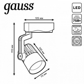 Светильник на штанге Gauss Track Light TR061 в Можге - mozhga.ok-mebel.com | фото 6