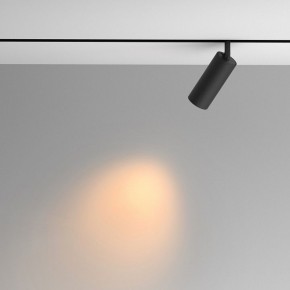 Светильник на штанге Maytoni Artisan TR097-2-12W2.7K-M-BB в Можге - mozhga.ok-mebel.com | фото 4
