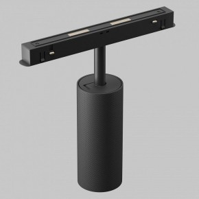 Светильник на штанге Maytoni Artisan TR097-2-12W2.7K-M-BB в Можге - mozhga.ok-mebel.com | фото 6