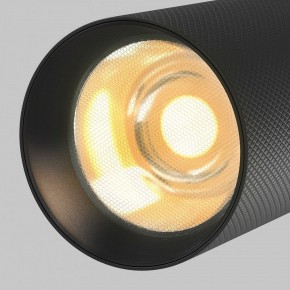 Светильник на штанге Maytoni Artisan TR097-2-12W2.7K-M-BB в Можге - mozhga.ok-mebel.com | фото 9