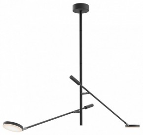 Светильник на штанге Maytoni Fad MOD070CL-L15B3K1 в Можге - mozhga.ok-mebel.com | фото