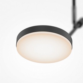 Светильник на штанге Maytoni Fad MOD070CL-L8B3K в Можге - mozhga.ok-mebel.com | фото 4