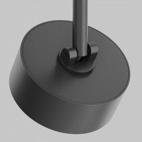 Светильник на штанге Maytoni Lens TR217-2-15W4K-B в Можге - mozhga.ok-mebel.com | фото 9