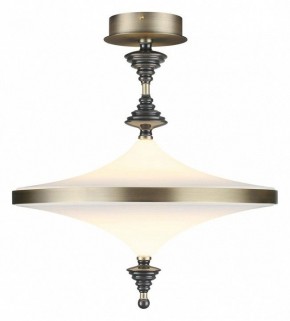Светильник на штанге Odeon Light Ula 5404/43CL в Можге - mozhga.ok-mebel.com | фото 2