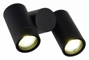 Светильник на штанге ST-Luce Ecollo SL9011.402.02 в Можге - mozhga.ok-mebel.com | фото 3