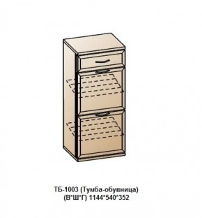 ТБ-1003 (Тумба-обувница) в Можге - mozhga.ok-mebel.com | фото