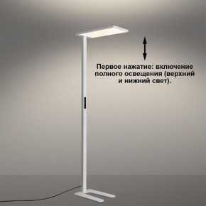 Торшер Novotech STUDI 359545 в Можге - mozhga.ok-mebel.com | фото 5