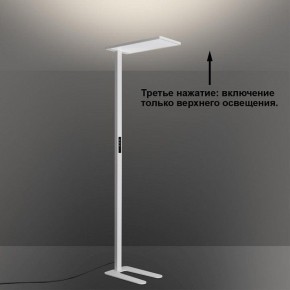 Торшер Novotech STUDI 359545 в Можге - mozhga.ok-mebel.com | фото 6