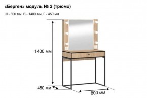 Трюмо "Берген 2" в Можге - mozhga.ok-mebel.com | фото 5