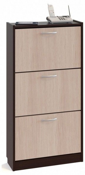 Тумба для обуви ТО-23 в Можге - mozhga.ok-mebel.com | фото