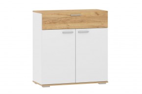 Тумба НМ 013.77 "Санти" (Белый/Крафт Золотой) в Можге - mozhga.ok-mebel.com | фото