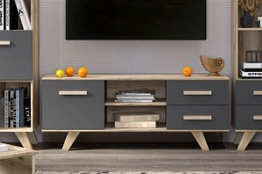 Тумба под ТВ Вега Скандинавия в Можге - mozhga.ok-mebel.com | фото 7