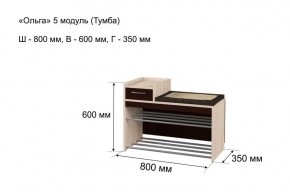 ОЛЬГА 5 Тумба в Можге - mozhga.ok-mebel.com | фото 3