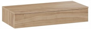 Тумбочка навесная ТД-102.08.02 в Можге - mozhga.ok-mebel.com | фото 3