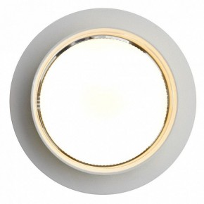 Встраиваемый светильник Feron DL502 51089 в Можге - mozhga.ok-mebel.com | фото 5