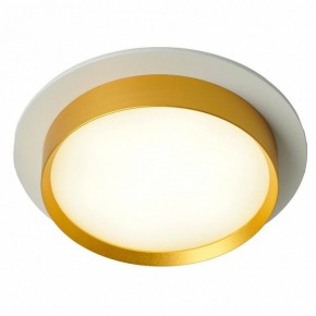 Встраиваемый светильник Feron DL507 51354 в Можге - mozhga.ok-mebel.com | фото 3