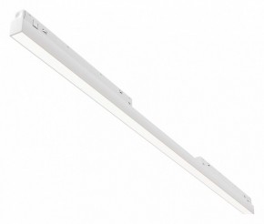 Встраиваемый светильник Maytoni Basis TR030-4-30WTW-DD2-W в Можге - mozhga.ok-mebel.com | фото