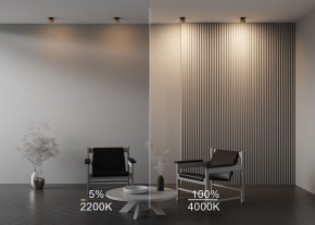 Встраиваемый светильник Maytoni Onda DL024-12W-DTW-BMG в Можге - mozhga.ok-mebel.com | фото 9